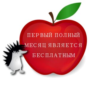 Первый полный месяц является БЕСПЛАТНЫМ Первый полный месяц является БЕСПЛАТНЫМ